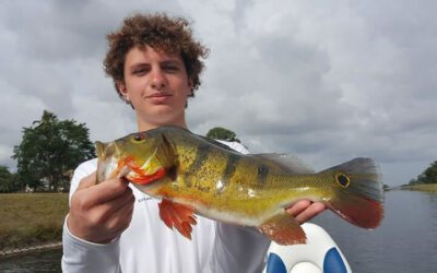 Honey Hole Bass Fishing