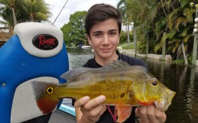 Quick Lake Ida Bass Fishing Charter