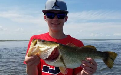 All Artificial Bass Fishing