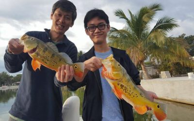 Best Peacock Bass Fishing Trip Ever