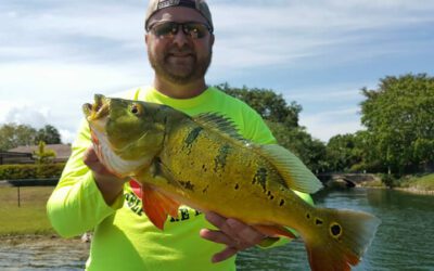 Peacock Bass Bucket List Fishing Charter