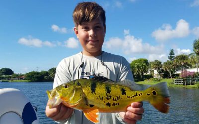 Miami Falls Peacock Bass Fishing Adventure