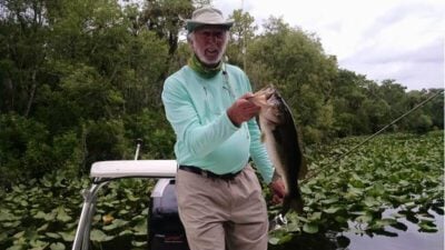 Artificial Largemouth Bass Fishing
