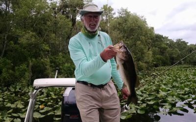 Artificial Largemouth Bass Fishing
