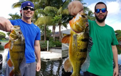 First Peacock Bass Fishing Adventure