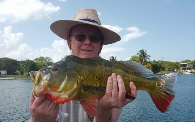 Miami Quality Peacock Bass Fishing