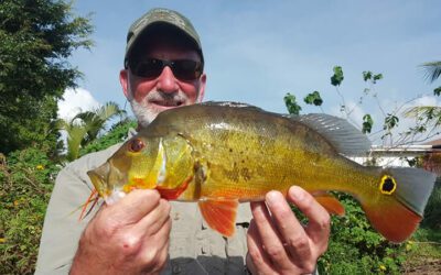 First Fly Fishing Peacock Bass Trip