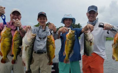 Three Day Peacock Bass Fishing Adventure