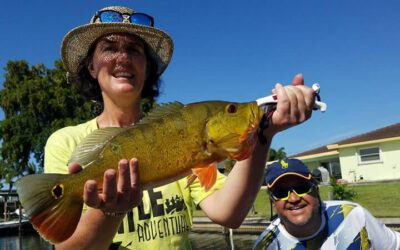 Exotic Two Boat Lake Ida Fishing