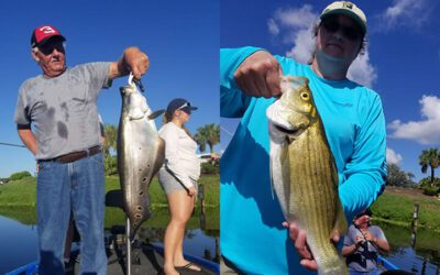 Summer Surprise Fishing Trips