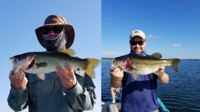 3 Days of Best Largemouth Bass Fishing on Lake Okeechobee 1 Three Fantastic Fishing Days