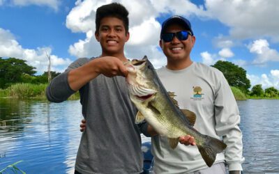 Sunny Shore Bass Fishing