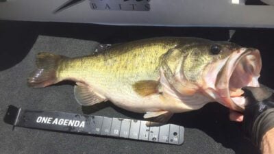 Lake Trafford - Naples fishing charter