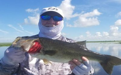 Summer Presentation Bass Fishing