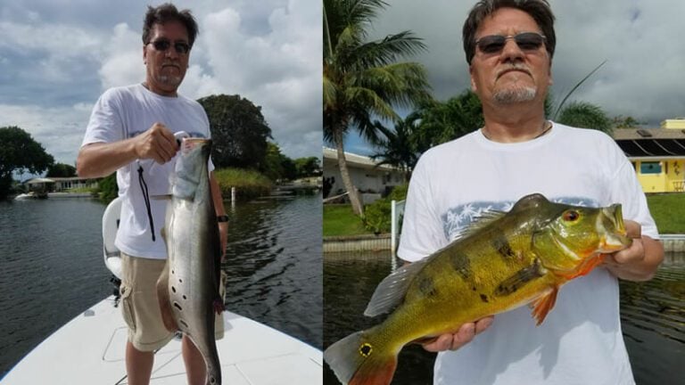 Monster Exotic Fishing Adventure