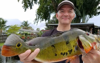 Advanced Hurricane Irma Peacock Bass Fishing Slam