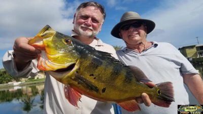 Fall Monster Peacock Bass Fishing