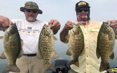 Ned Rig Bass Fishing