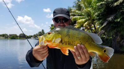 First Peacock Bass Fishing Experience