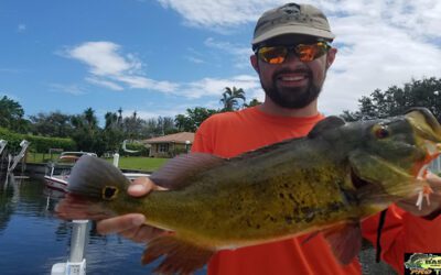Two Big Lake Ida Bass
