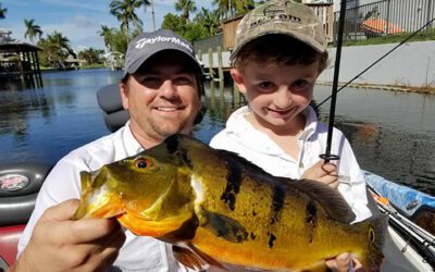 Mixed Bass Fishing Adventure