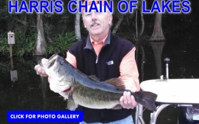 Harris Chain of Lakes Pictures