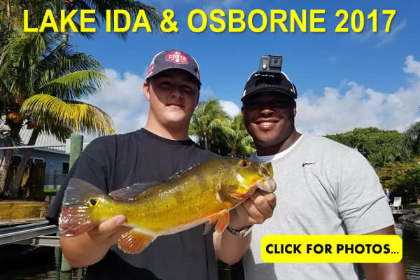 2017 Lake Ida Peacock Bass Pictures