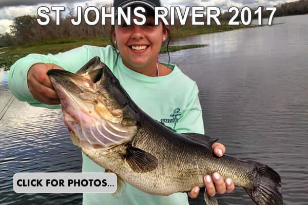 2017 St Johns River Pictures