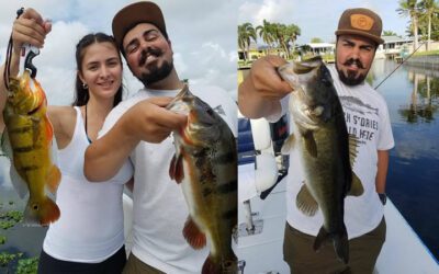 Big Numbers Peacock Bass Fishing