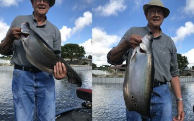 Fishing Lake Ida while Catching Florida Clown Knife Fish