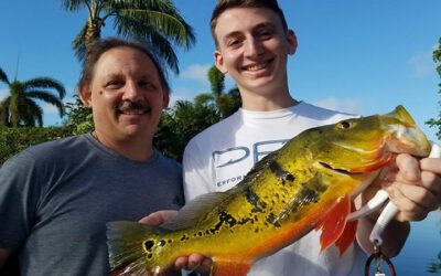 Excellent Miami Falls Fishing Adventure Catching Monster Peacock Bass