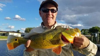 Awesome Artificial Fishing Trip