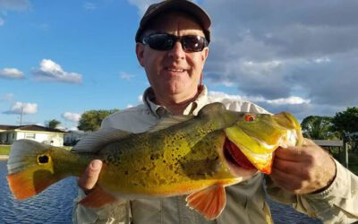 Awesome Artificial Fishing Trip