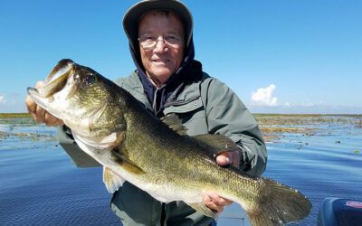 Big Bass Fishing Season on Lake Okeechobee in Clewiston, Florida