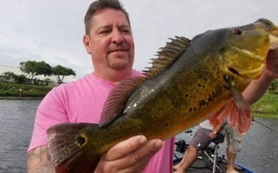 Cool Bass Fishing Trip