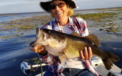 Two Big Bass Fishing Days on Lake Okeechobee out of Clewiston, Florida