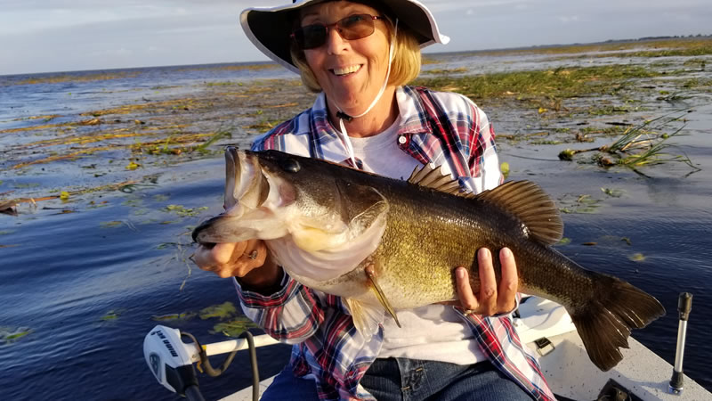 Two Big Bass Fishing Days on Lake Okeechobee out of Clewiston, Florida