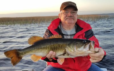 Congregating Florida Largemouth Bass in Kissimmee on Lake Toho