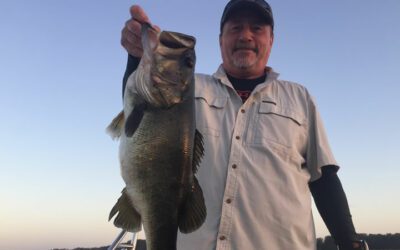 Florida Fishing Kissimmee Catching Largemouth Bass