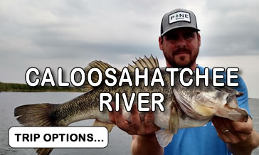 Caloosahatchee River Fishing