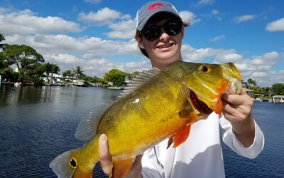 Florida Peacock Fishing Quest in Palm Beach County