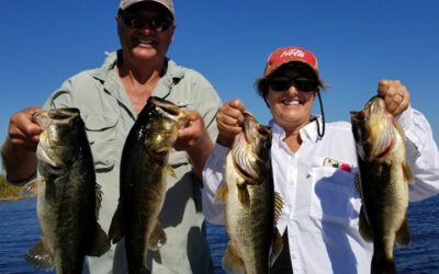 Two Bass Fishing Trips on Lake Okeechobee Catching Largemouth
