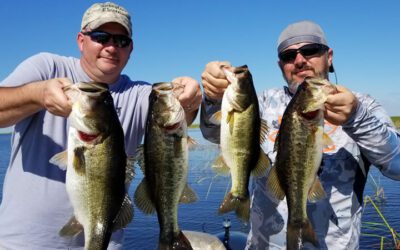 Two Okeechobee Adventures out of Okeechobee City, Florida