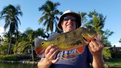 Afternoon Peacock Bass Fishing Guide Trip in Miami, Florida