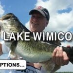 Lake Wimico thumbnail