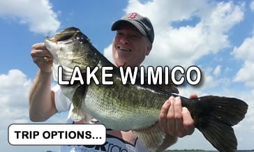 Lake Wimico, FL