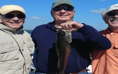 Five Years Florida Fishing Catching Largemouth Bass
