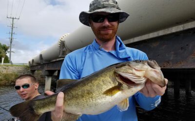 Insane Peacock Bass Fishing on Lake Ida Chain of Lakes