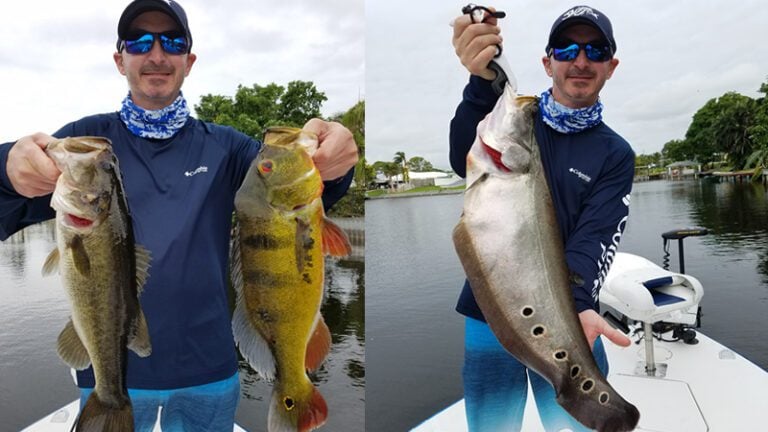 Florida Fishing Five Species
