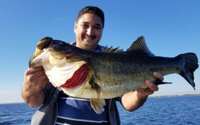 Orlando Fishing Monster Bass on Lake Toho in Central Florida